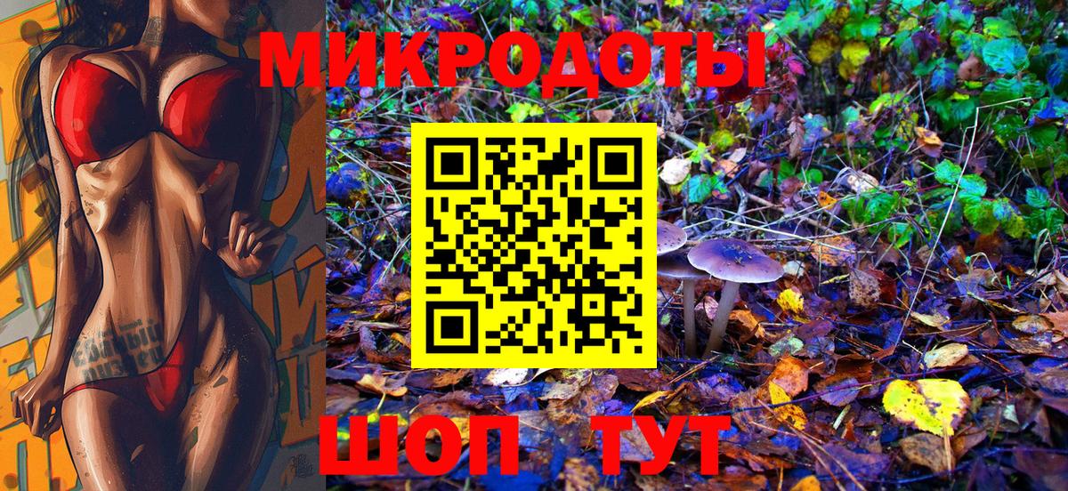Псилоцибиновые грибы Psilocybe Чусовой