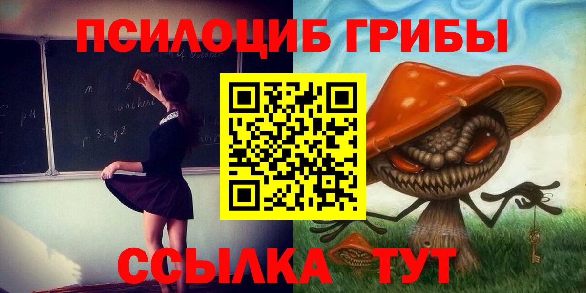 Галлюциногенные грибы MAGIC MUSHROOMS  Псилоцибиновые грибы прущие грибы  Вход с VPN  Чусовой 